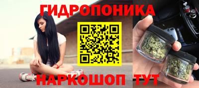 стафф Новозыбков