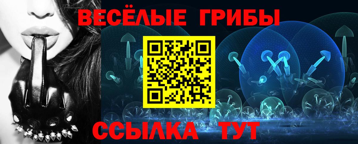 Галлюциногенные грибы ЛСД Тихорецк